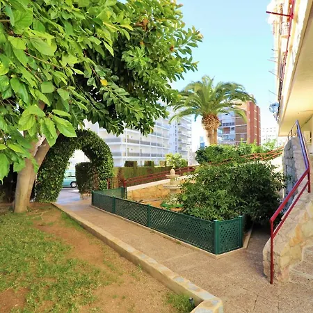 Piscis 12-1 بينايدورم